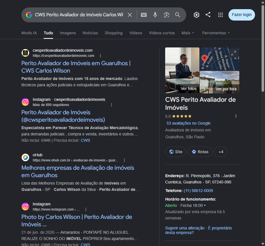 Print do painel do Google Meu Negocio da CWS Perito Avaliador com nota 5,0 e 53 avaliacoes